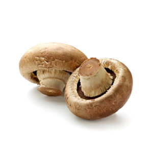 Champignon  Portobello (Libra)
