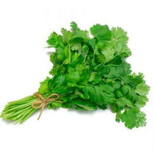 Cilantro (Atado)
