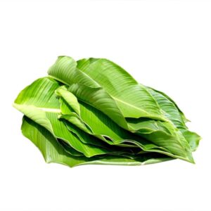 Hojas de atchera (Atado)